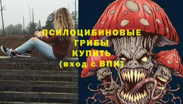 амф Костерёво