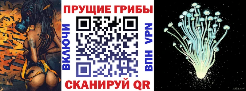 Псилоцибиновые грибы мицелий  Курчалой 