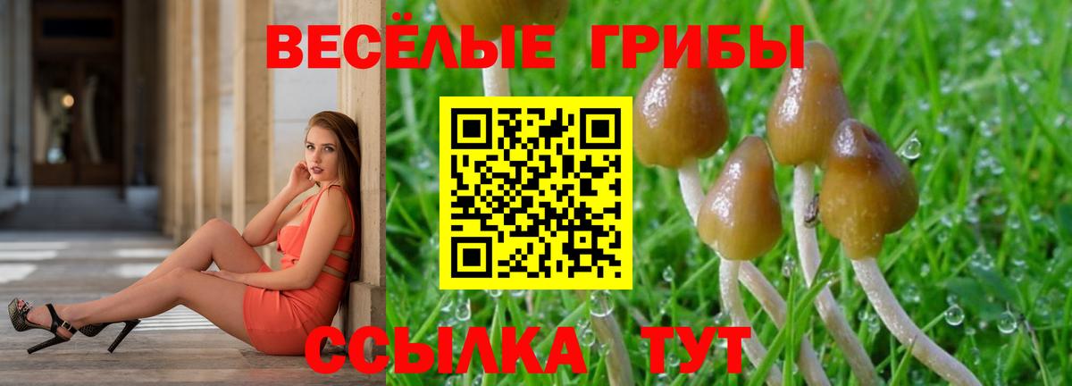 Курчалой  Галлюциногенные грибы ЛСД  Вход с VPN 