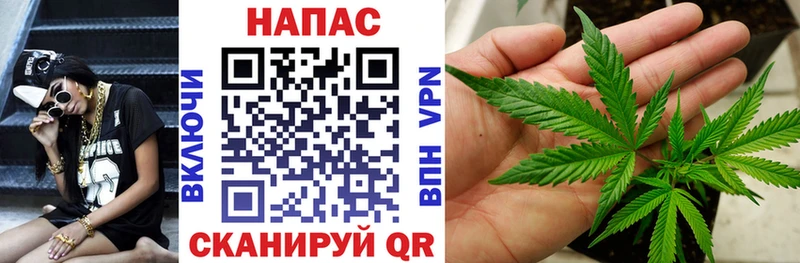 продажа наркотиков Курчалой mega ТОР Шишки марихуана OG Kush